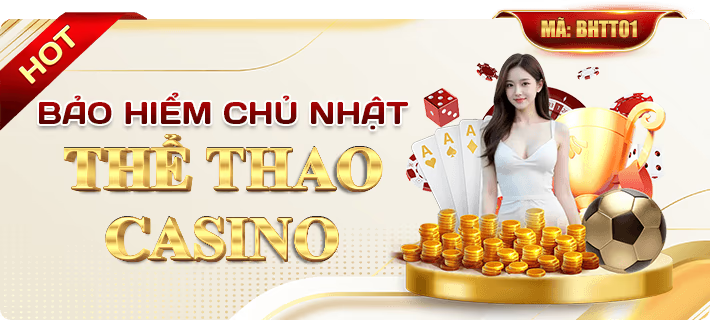 BẢO HIỂM CHỦ NHẬT